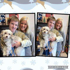 Happy Tails Maxwell.jpeg
