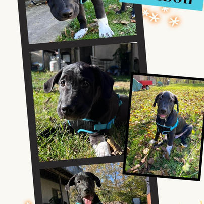 Ichibon photo update.jpeg