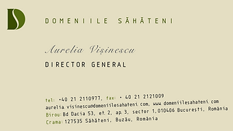 cartevizitadomenii1-01.png