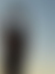 Pourquoi le Reformer est l’allié idéal du renforcement profond ?