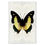 Thumbnail: Butterfly #5 Wall Art  Barloga Studios