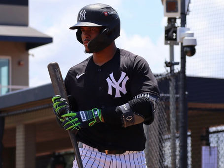 Fast Starts for Several FCL Bats
