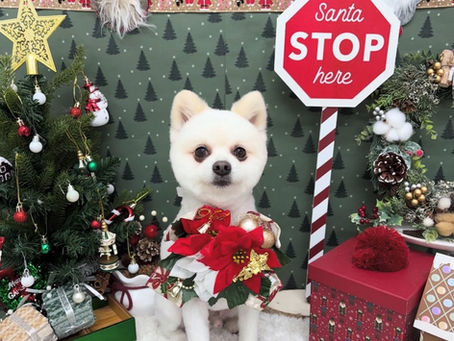 カットコース✂️