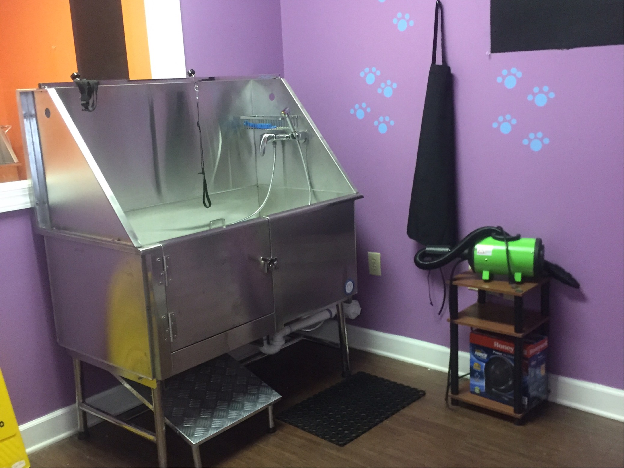 self service pet bath near me