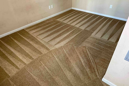 Carpet Cleaning after results for Steam Cleaning