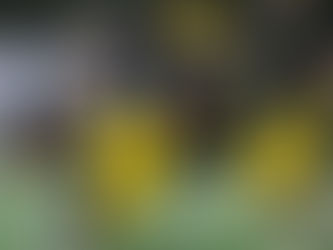 高山晃輔【2026シーズン新幹部挨拶】