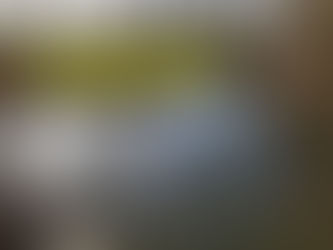 You could not make this up!