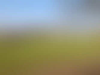 Local plan consultation - what’s happened?