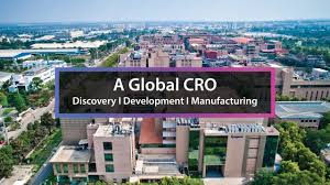 Syngene || CDMO Player