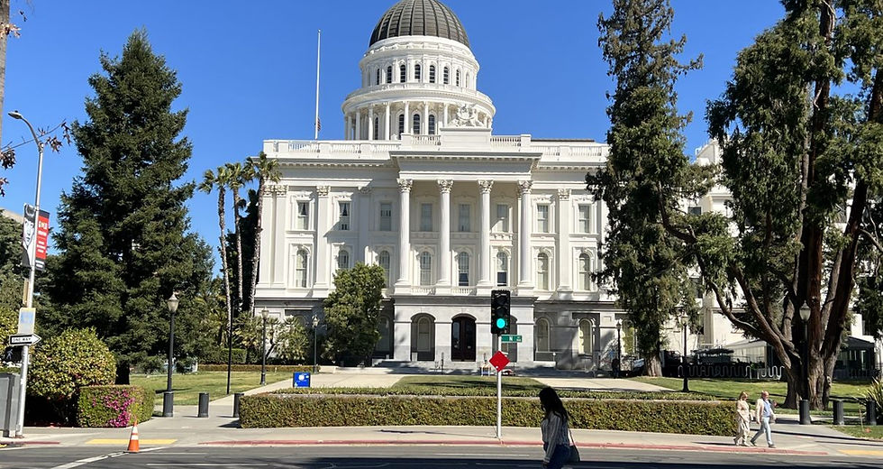 Poll Shows Katie Porter Leading 2026 California Governor’s Race as Field Shifts