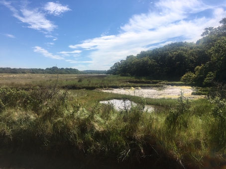 Newtown Creek