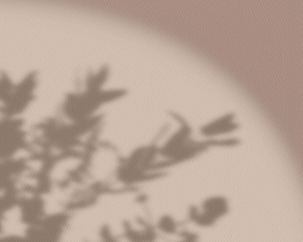 Flower Shadow_edited_edited.jpg