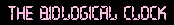 BiologicalClock.gif