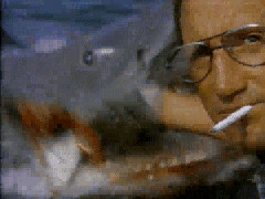 jaws2.gif