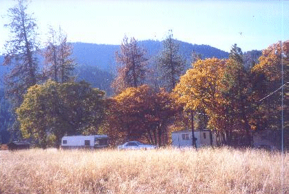 paradise3.gif