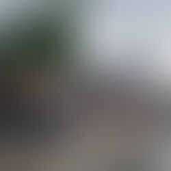 Konya'nın Karatay ilçesi İsmil mahallesinde dükkanları dükkanları bastı!