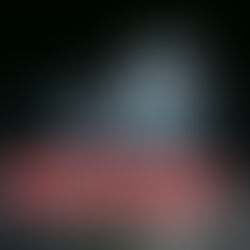 Tunceli'de Jandarma dağ sarımsağı ele geçirdi!