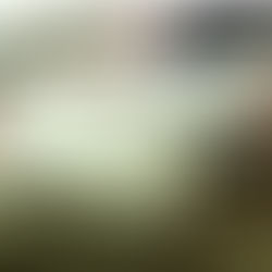 Konya'nın Karatay ilçesi İsmil mahallesinde seçim sonuçları açıklandı.