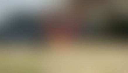 Antalya'da ki orman yangınında uçaktan müdahale sürüyor!