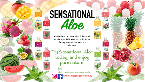 Screen Shot 2025-03-03 at 9.18.24 am.png