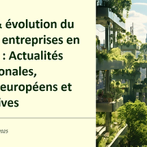 Pictogramme de l'item