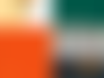 Image du site Wanted RH