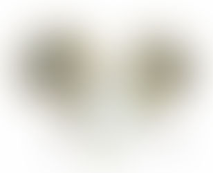 un cerveau éveillé