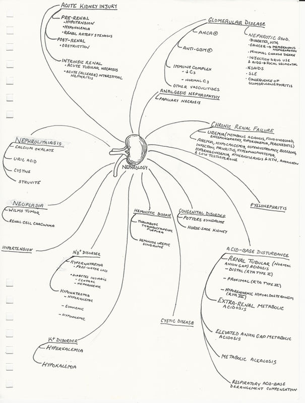 Nephrology outline.jpeg