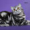 Thumbnail: 721 Zeus (U) Scottish Fold shorthair male kitten