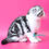 Thumbnail: 190 Rihanna (U) Scottish Fold shorthair female kitten