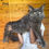 Thumbnail: Maine Coon