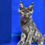 Thumbnail: Maine Coon