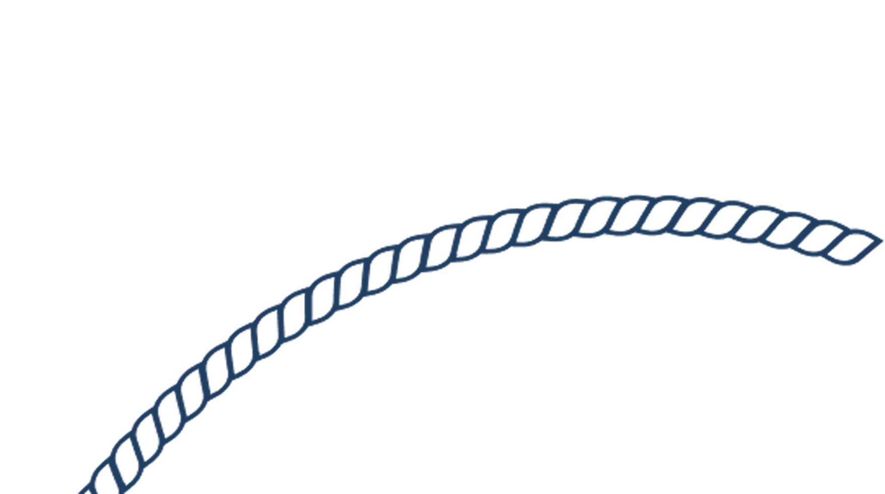 imgi_5_circle_shape02-1 1.png