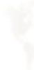 Vector1.png
