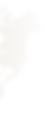 Vector.png