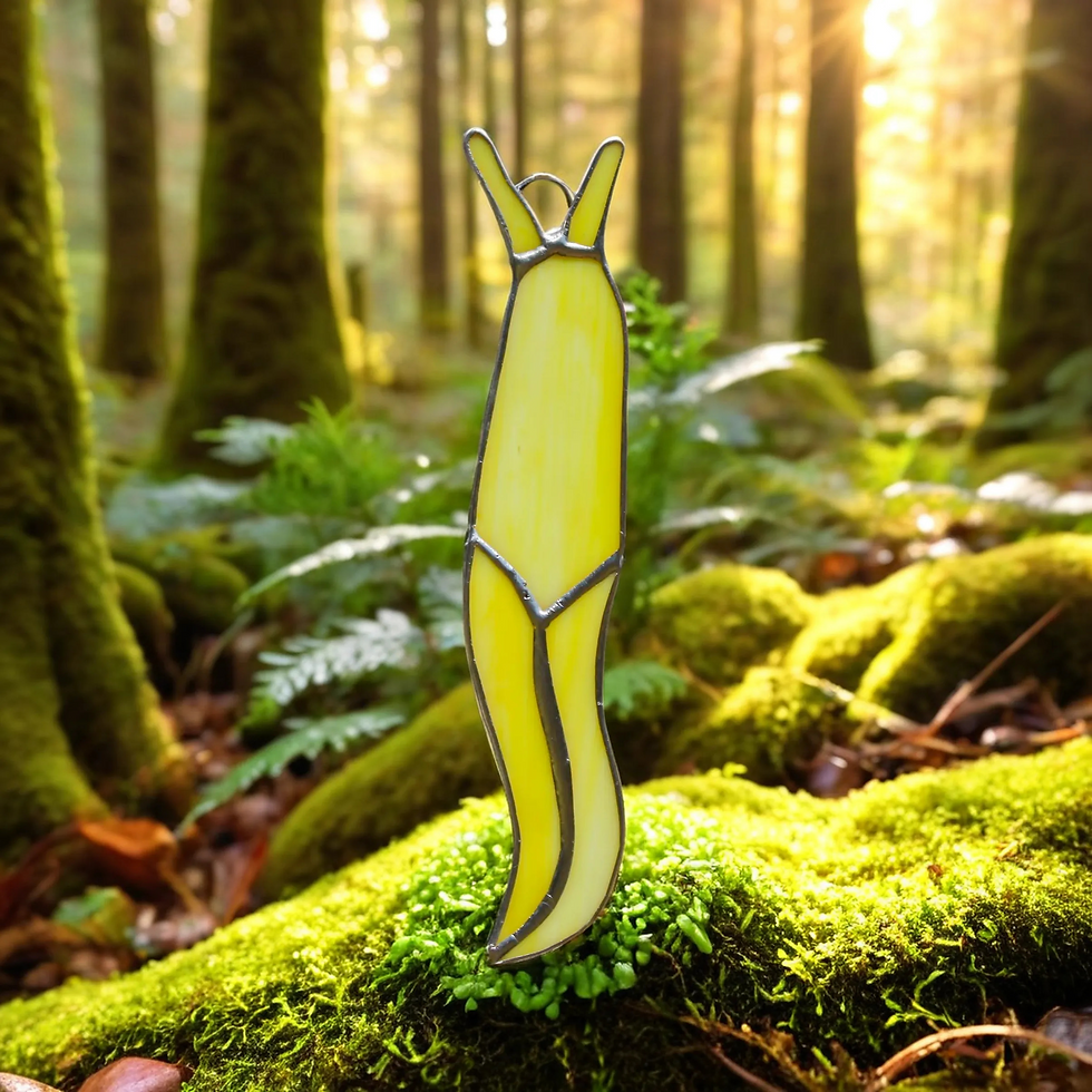 img-r4.png