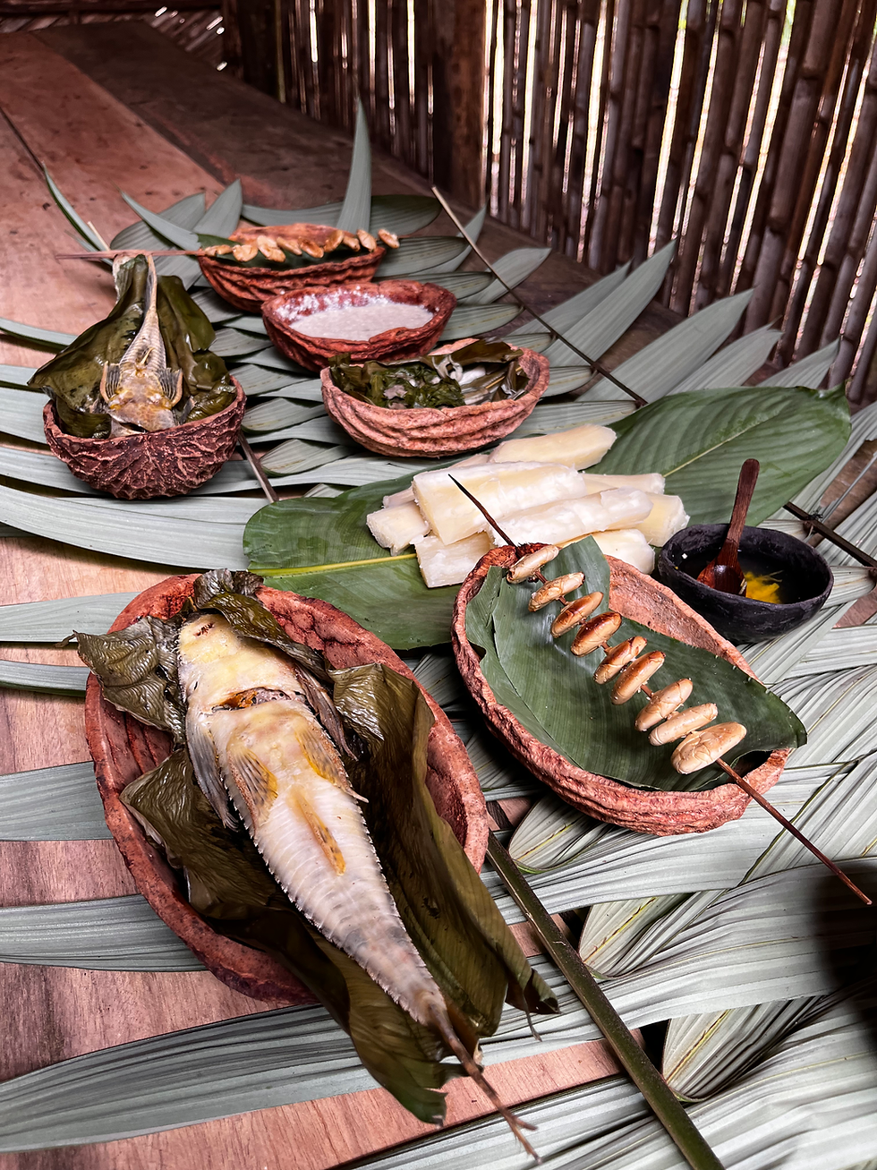 Comida Amazonica 3