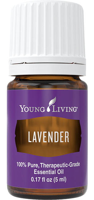 lavender transparent