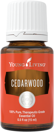 Cedarwood Transparent