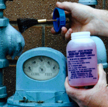 leak detector