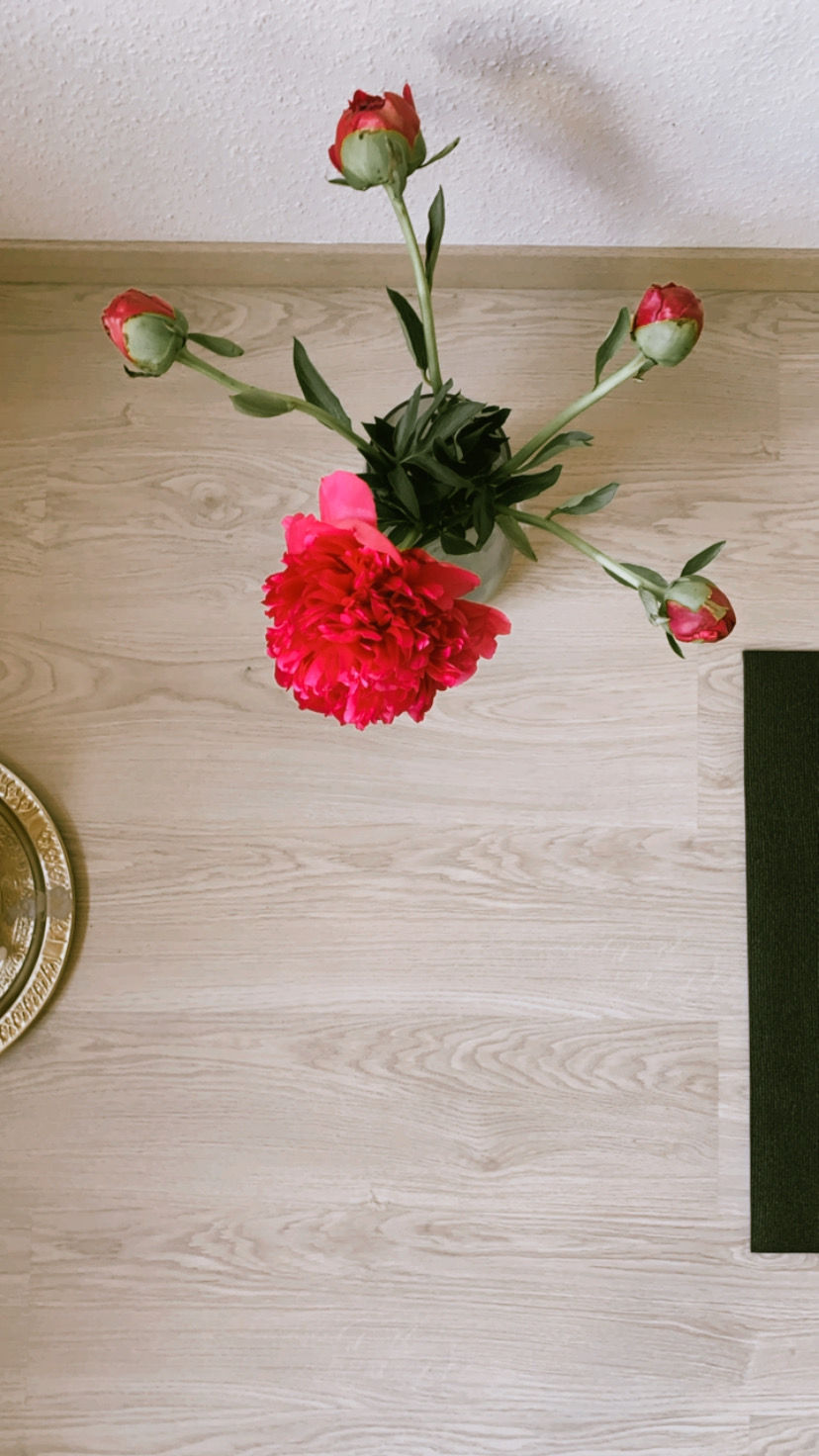 liebe & aggressionen