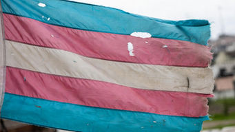 Medical groups ignored 'the science' on gender surgeries for children -- despite claims to the contrary