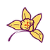 fleur_fond-transparent-02.png