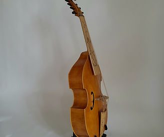 Basse moderne, fleurs de poirier