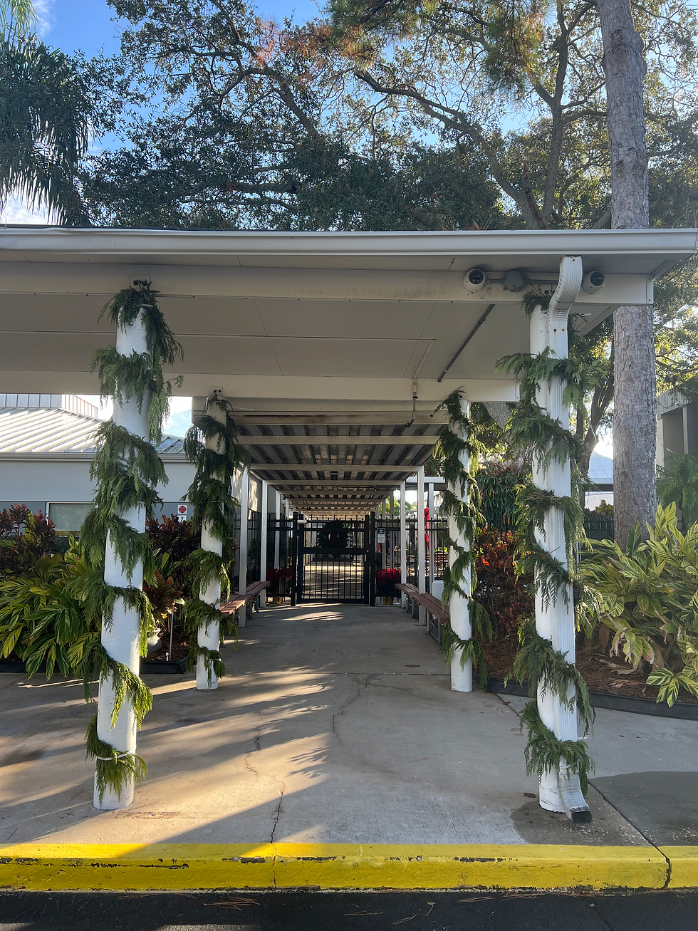 Deck the Halls