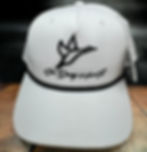 Thumbnail: THE OVERLAND