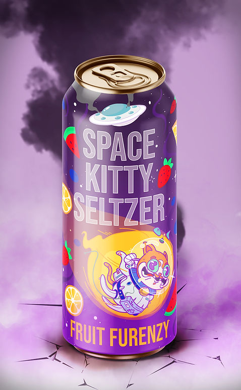 SPACE CAT MOCK-UP2.jpg