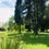 Miniatura: Casa Los Laureles