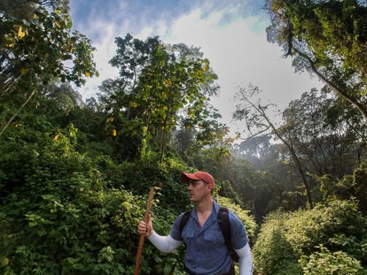 A Journey into Bwindi: Gorilla Trekking in the Impenetrable Forest