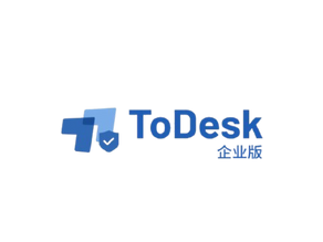 ToDesk 簡介
